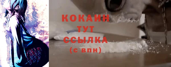 PSILOCYBIN Абаза