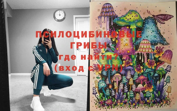 PSILOCYBIN Абаза