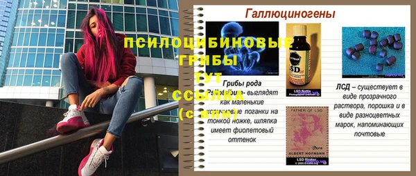 PSILOCYBIN Абаза