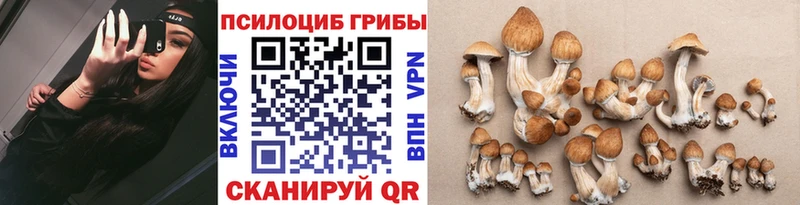 нарко площадка какой сайт  Вологда  Псилоцибиновые грибы прущие грибы  MEGA зеркало 