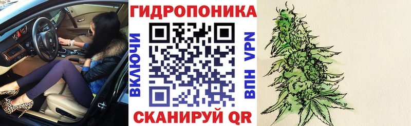 где можно купить наркотик  Вологда  Марихуана планчик 